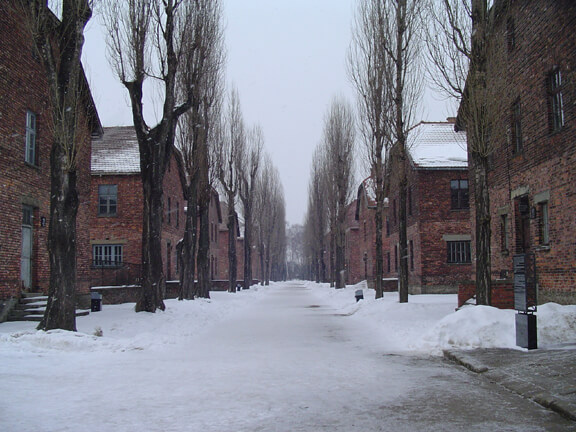 Auschwitz winter