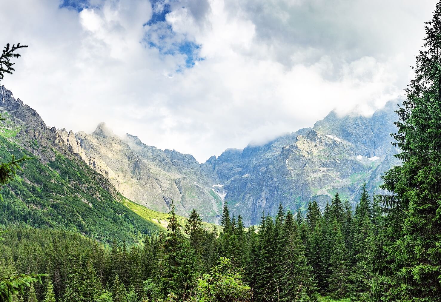 mountains and green trees in a valley looking through pine trees of morskie oko at Mary mountains in southern poland